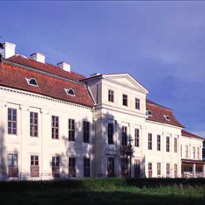 Elewacja ogrodow pałacu w Drogoszach war-maz